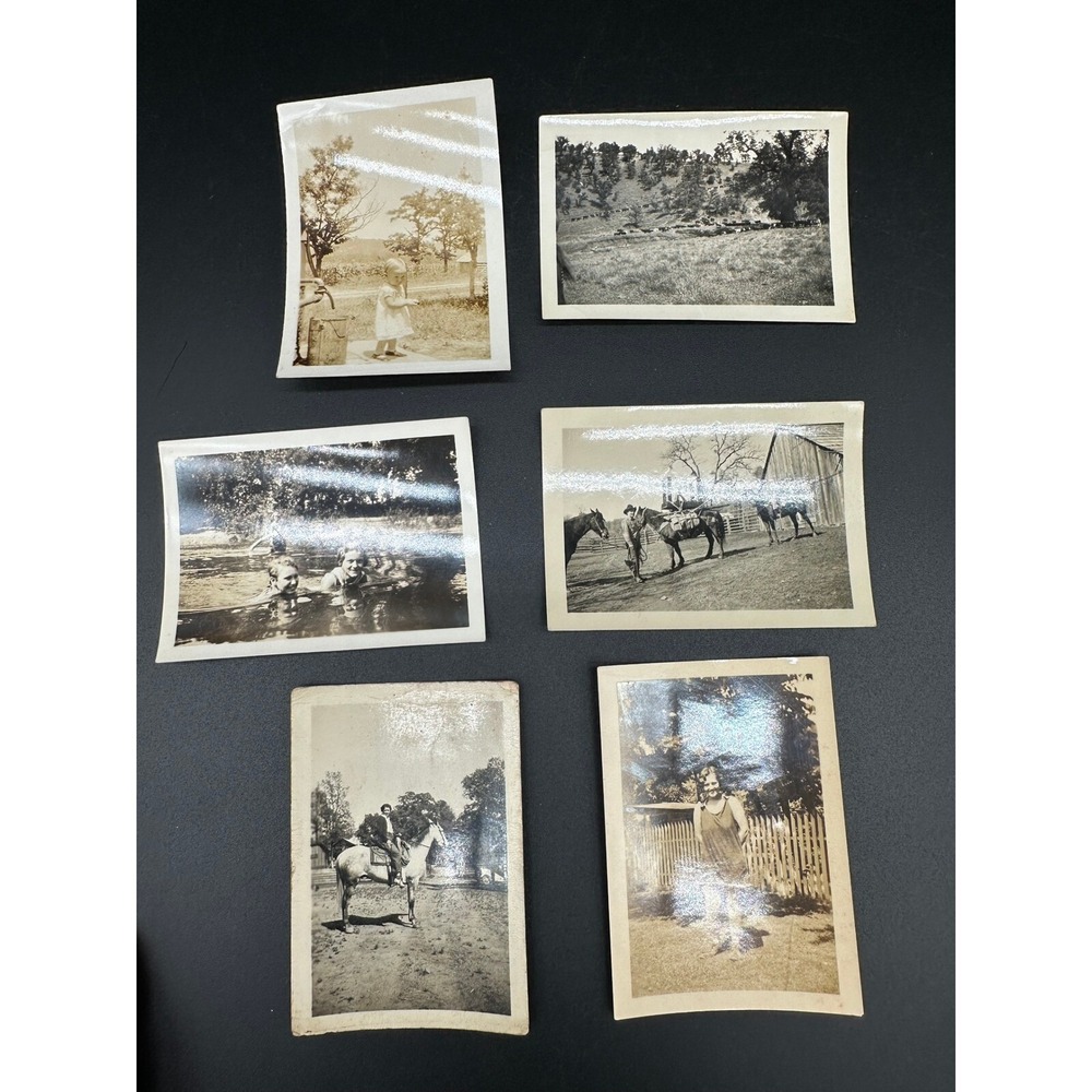 Antique Black & White Photo Lot Horses Ranch Farm Life Swimming California